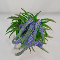 Seller Image